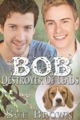 Bob the Destroyer of Leads (Lyon Road Vets 2)