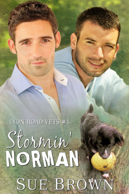 Stormin' Norman (Lyon Road Vets 4)