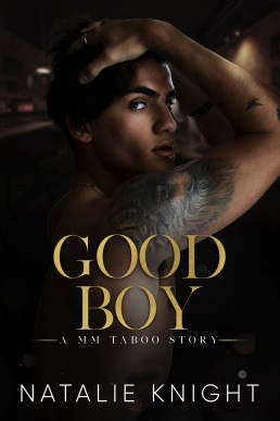 Good Boy  (A MM Taboo Story Book 1)