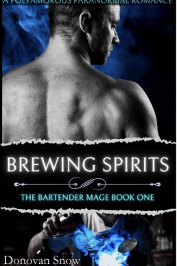 Brewing Spirits (The Bartender Mage 1)