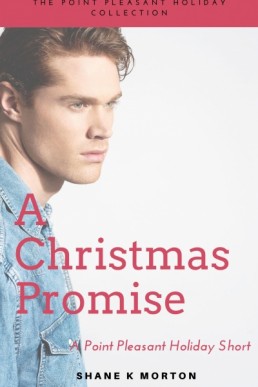 A Christmas Promise (Point Pleasant Holiday 1.5)