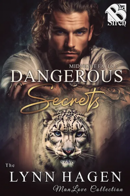 Dangerous Secrets (Midnight Falls 3)