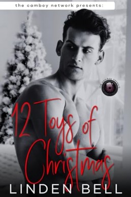 12 Toys of Christmas (The Camboy Network)