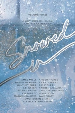 Snowed in (Why-choose holiday anthology 3)