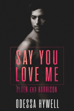 Say You Love Me: Alden & Harrison (Say You Love Me 2)