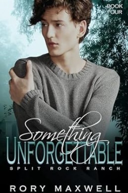 Something Unforgettable (Split Rock Ranch 4)