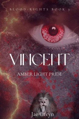 Vincent Twice (Blood-rights 3)