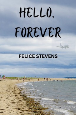 Hello, Forever (Never Say Goodbye Bonus scene)