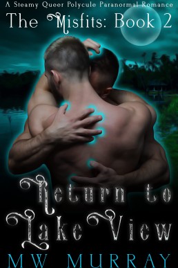 Return to Lake View (The Misfits 2)