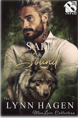 Safe & Sound (Midnight Falls 5)