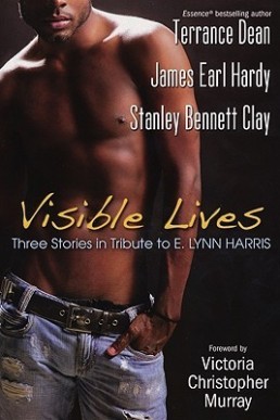 Visible Lives (Three Stories in Tribute To E. Lynn Harris)