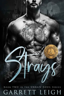 Strays (Urban Soul #2, 2023/2nd Ed.) Angsty Gay Romance