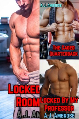 The Locked Series Bundle  (3 M/M Chastity Straight-to-Gay Stories)