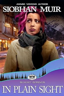 In Plain Sight (Summit Springs Book 16)