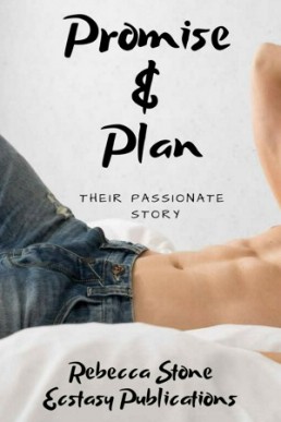 Promise & Plan: Their Passionate Story