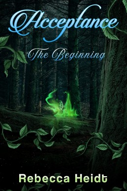 Acceptance: The Beginning (Acceptance Series Book 1)