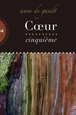 Cœur cinquième (Saison 14) (French Edition)