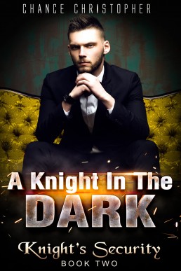 A Knight In The Dark (Knight's Security 2)