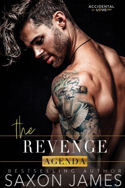 The Revenge Agenda (Accidental Love #3)