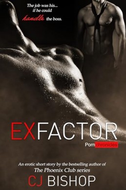 Ex-Factor (The Porn Chronicles 1)