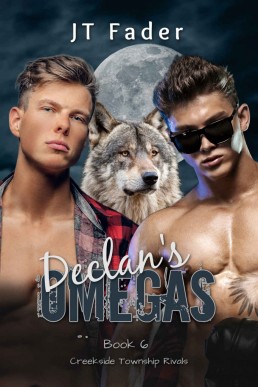 Declan's Omegas (Creekside Township Rivals 6)