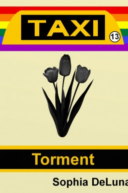 Taxi - Torment (Book 13)