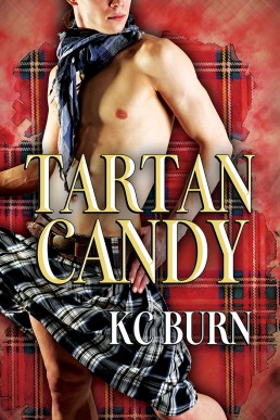 Tartan Candy (Fabric Hearts 1)