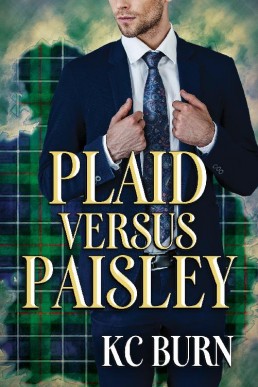 Plaid versus Paisley (Fabric Hearts 2)