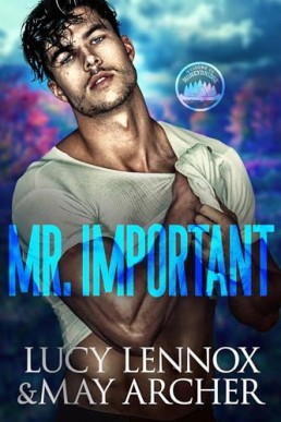 Mr. Important (Honeybridge 2)