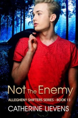 Not the Enemy (Allegheny Shifters 13)