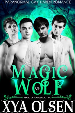 Magic of Wolf: Magic of Four (Book Two)