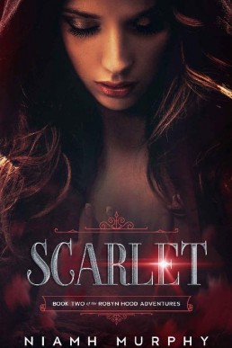 Scarlet (The Robyn Hood Adventures #2)