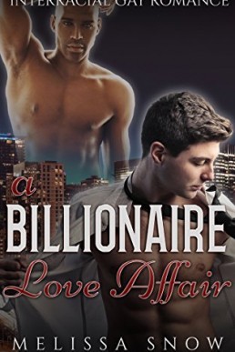 A Billionaire Love Affair