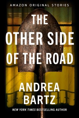 The Other Side of the Road (Never Tell Collection #3)