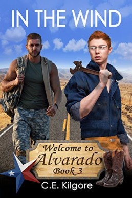 In the Wind (Welcome to Alvarado #3)