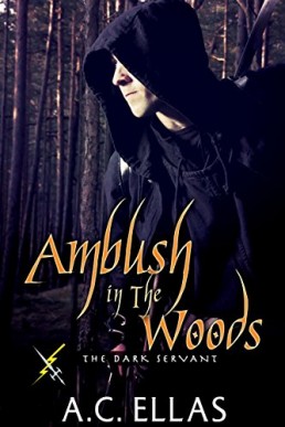 Ambush in the Woods (The Dark Servant 26)