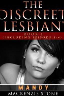 The Discreet Lesbian ~ Episodes 1- 4 : Lesbian Fiction Romance Series: