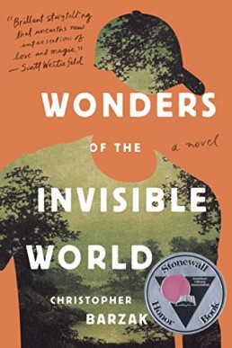 Wonders of the Invisible World