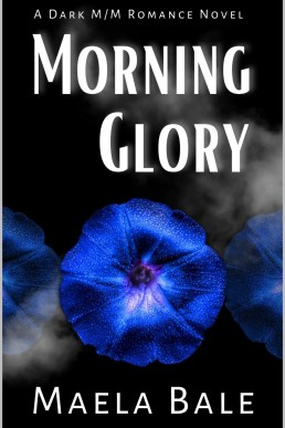 Morning Glory