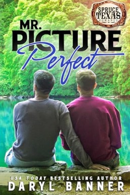 Mr. Picture Perfect (Spruce Texas Romance 8)