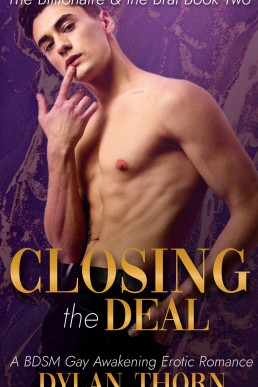 Closing the Deal: A BDSM Gay Awakening Erotic Romance