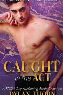 Caught in the Act: A BDSM Gay Awakening Erotic Romance