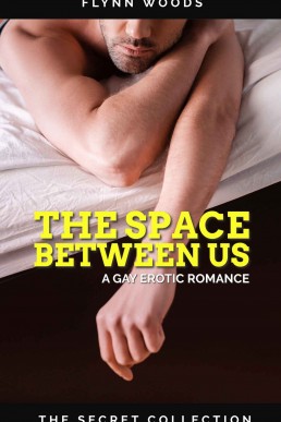 The Space Between Us: A Gay Erotic Romance (The Secret Collection)