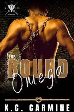 The Bound Omega (AGN Year One)