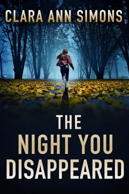 The Night You Disappeared