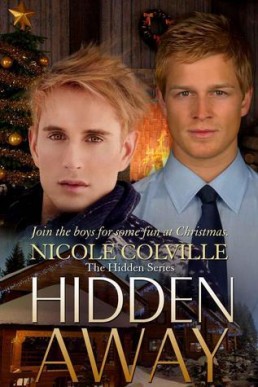 Hidden Away (The Hidden Series 8.5)