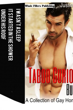 Taboo Curiosity Bundle: A Collection of Gay Home Taboo