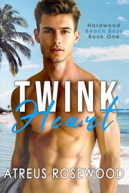 Twink Heart (Hardwood Beach Boys 1)