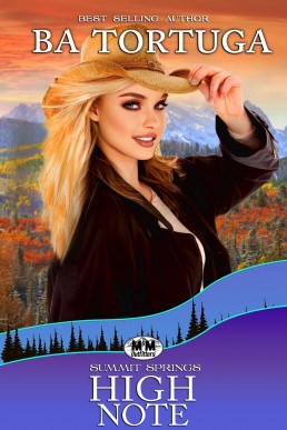 High Note (Summit Springs Book 18)