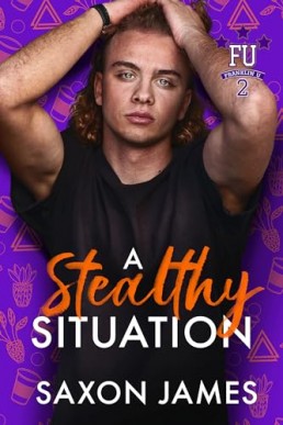 A Stealthy Situation (Franklin U 2 Book 2)